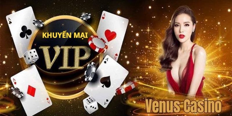 Khuyến mãi giá trị là điểm cộng của sòng bài Venus Casino